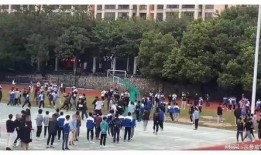 操场爆料事件视频大全集,视频大全集深度解析