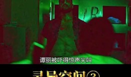 灵异空间在线观看免费,揭秘未知世界，免费在线惊悚之旅